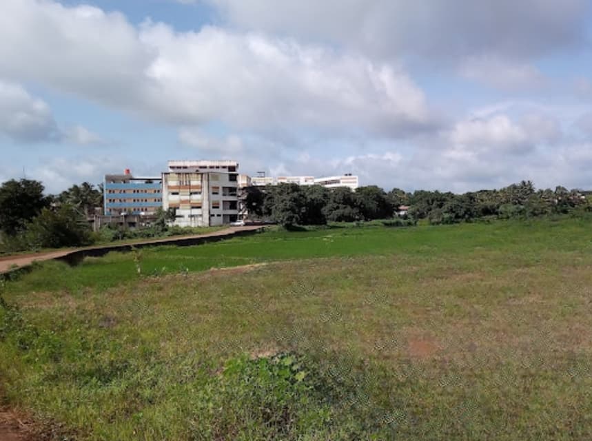 College gallery image 4