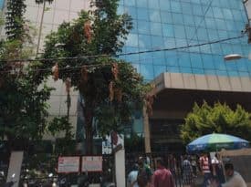 College gallery image 2