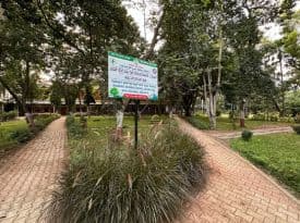 College gallery image 2