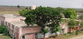 College gallery image 1